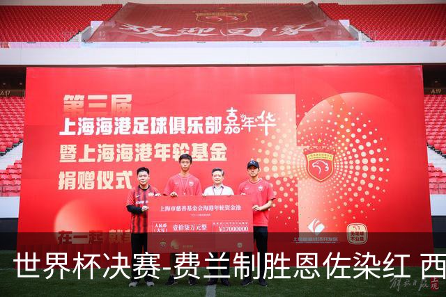 世界杯决赛-费兰制胜恩佐染红 西班牙加时1-0阿根廷夺冠