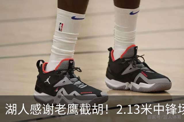 湖人感谢老鹰截胡！2.13米中锋场均8+4远低预期 萨总930万亏哭了